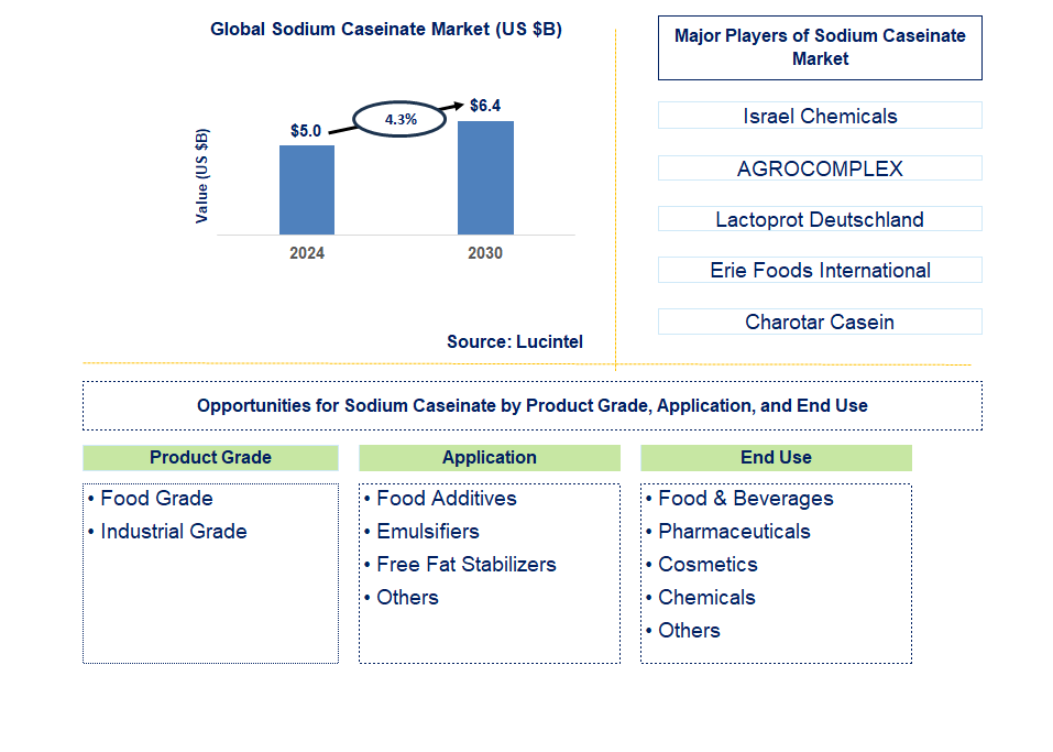 Sodium Caseinate Trends and Forecast